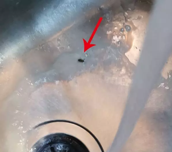 “十足”便利店豆浆喝出蟑螂 网友直呼太恐怖 “十足”便利店豆浆喝出蟑螂 网友直呼太恐怖