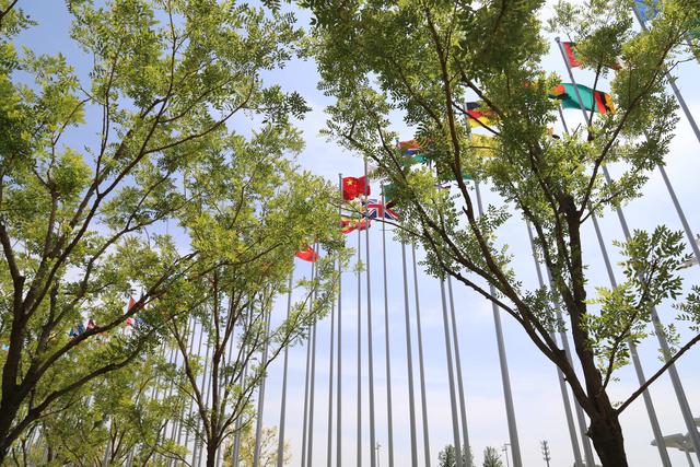 绿色新丽水、两山新境界:来2019北京世界园艺博览会与丽水城市主题日“相遇” 绿色新丽水、两山新境界:来2019北京世界园艺博览会与丽水城市主题日“相遇”