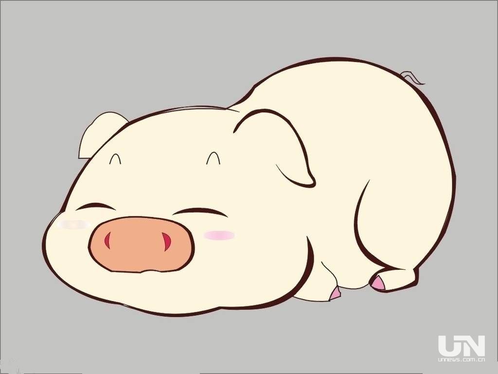 储备肉稳 储备肉稳