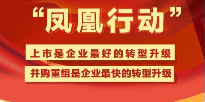 第二届“凤凰行动”论坛暨上市公司马拉松赛即将在嘉兴举行 第二届“凤凰行动”论坛暨上市公司马拉松赛即将在嘉兴举行