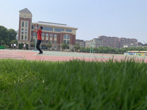 金外小学正式招生,“让优秀更优秀” 金外小学正式招生,“让优秀更优秀”